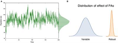 Long-Term Conservation Effects of Protected Areas in Stochastic Population Dynamics